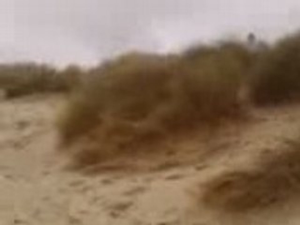 Alex Dans les Dunes