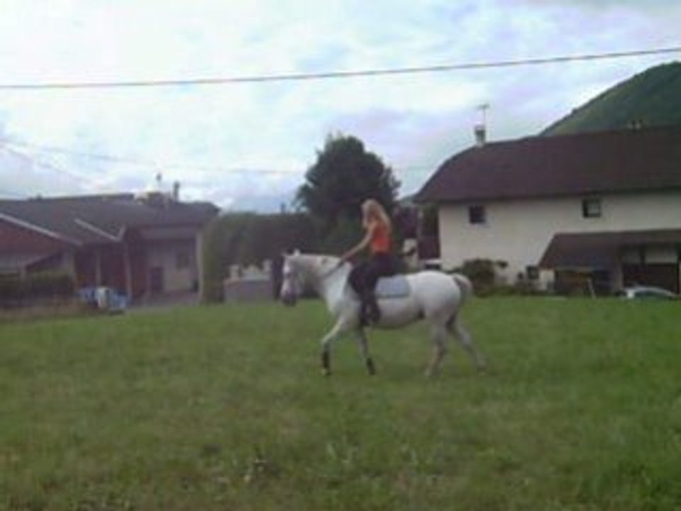 Dressage