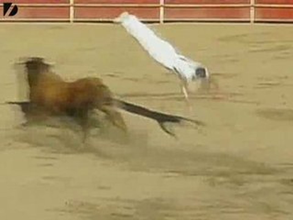 Guy Jumps Over a Bull