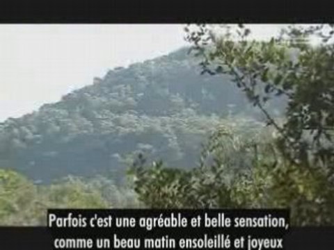 Mélodies des Mondes Supérieurs #3