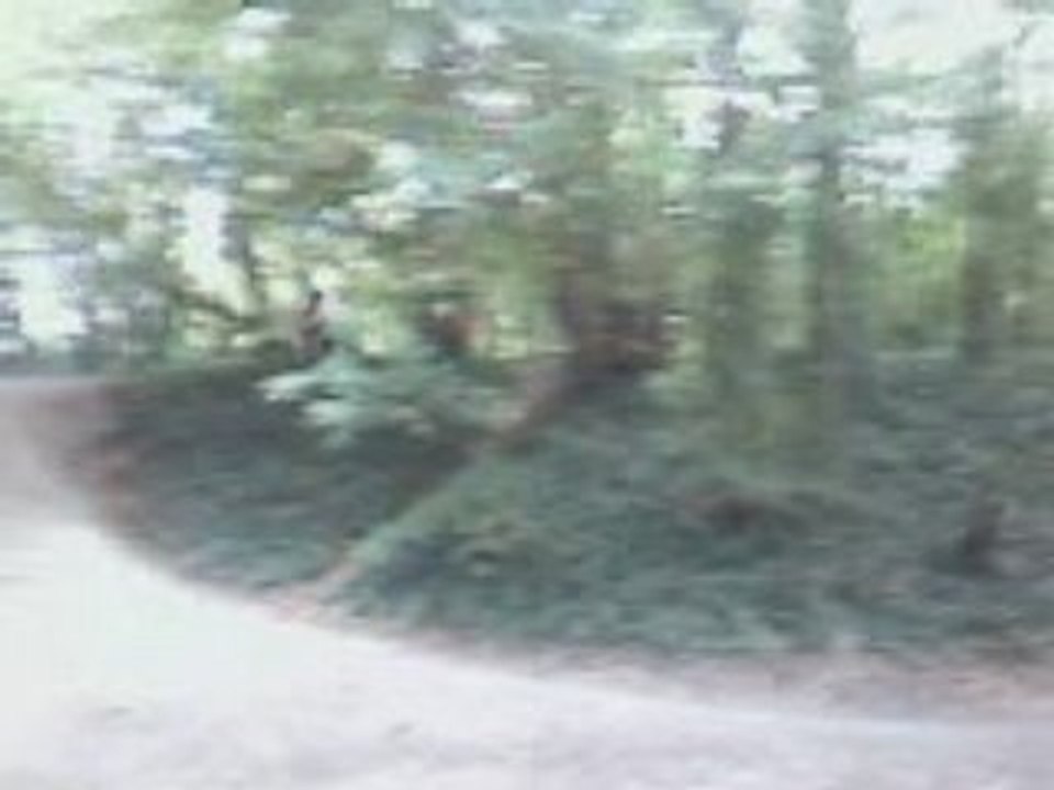 082008160515