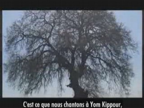 Mélodies des Mondes Supérieurs #4