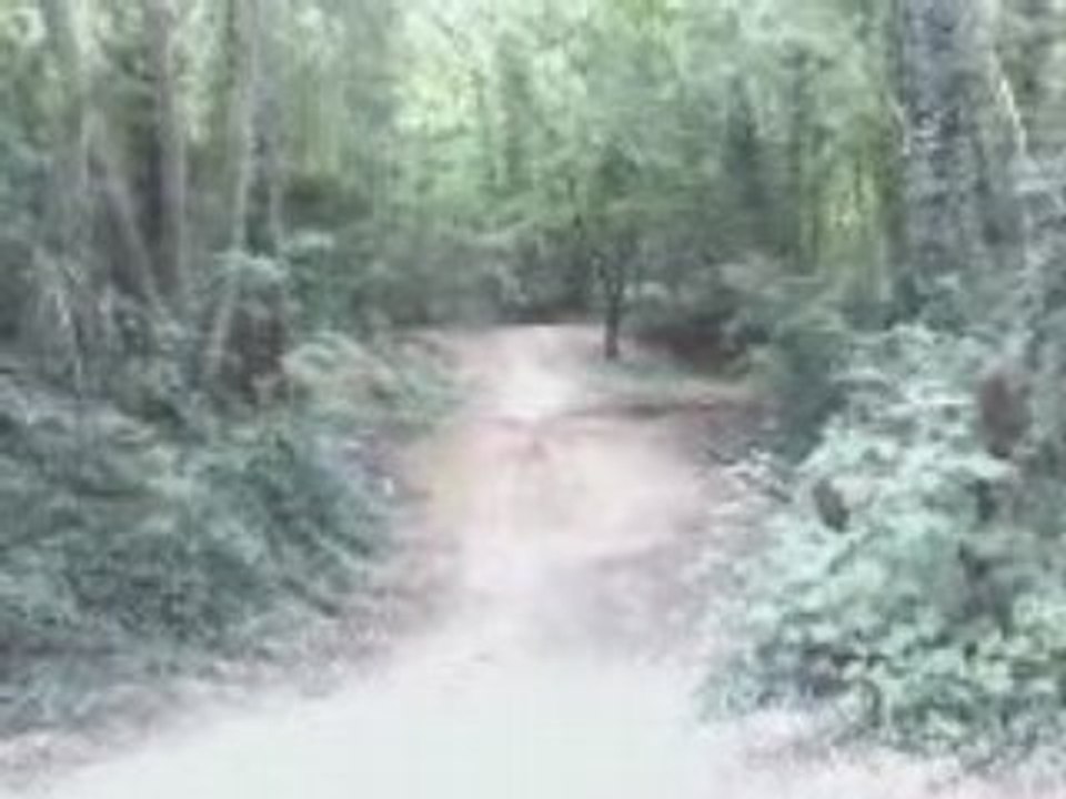082008141446