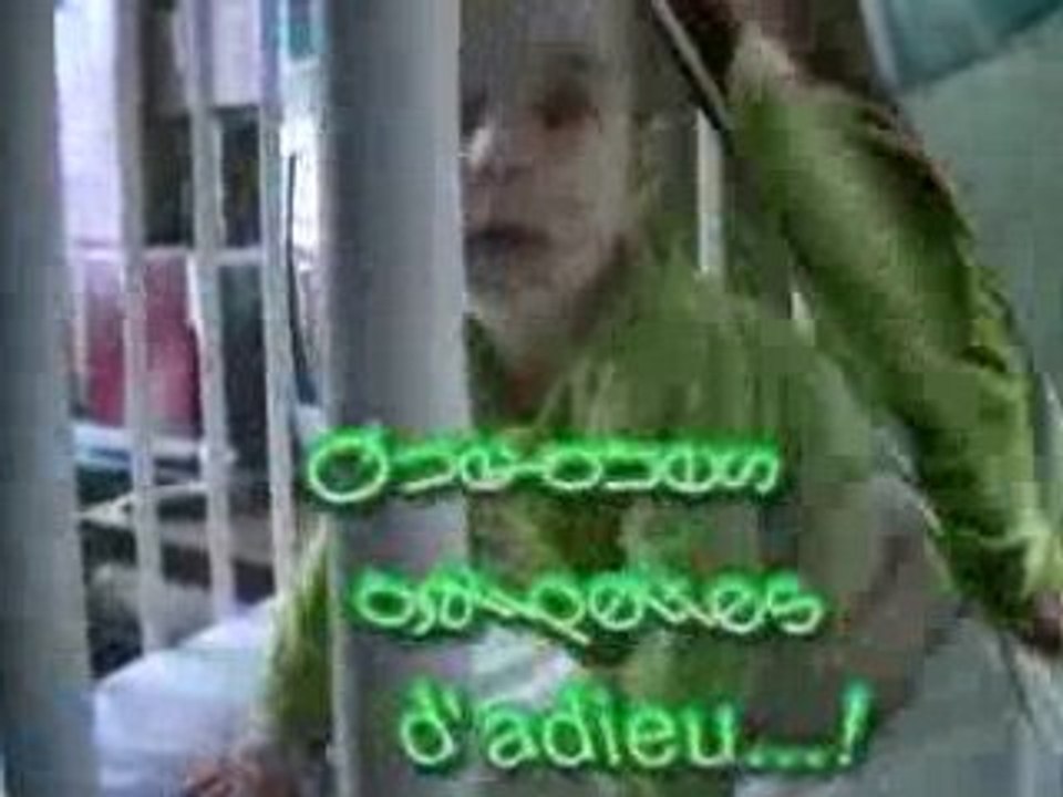 Vida loca, vie de dingue !