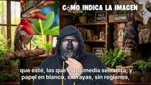 Hechizo para que no te molesten tus compañeros de trabajo