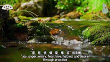 七情六欲！调和适度！东方智慧载修身哲学！儒释道医映千年历史！
