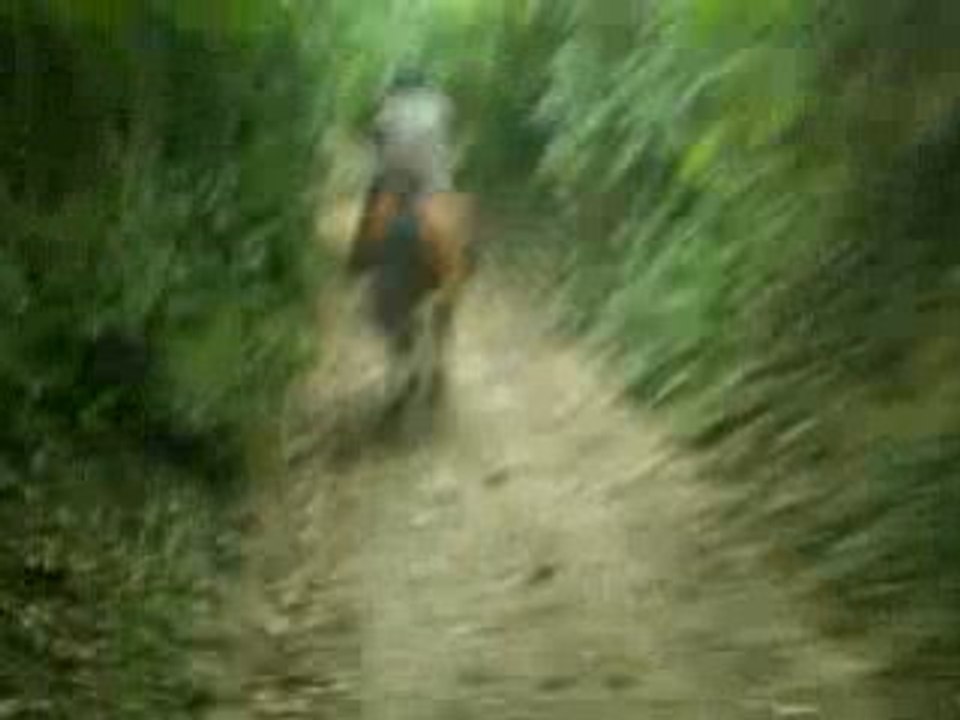 dernier galop