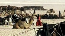 قصص وقصائد شاعرات من عنزه فرسان قبيلة عنزه (2)