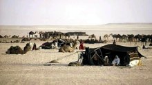 قصص وقصائد شاعرات من عنزه فرسان قبيلة عنزه