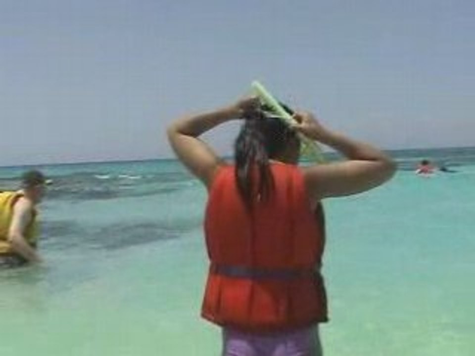 Australie, la grande barrière de corail (14)