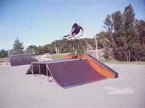 Whip disaster to revert