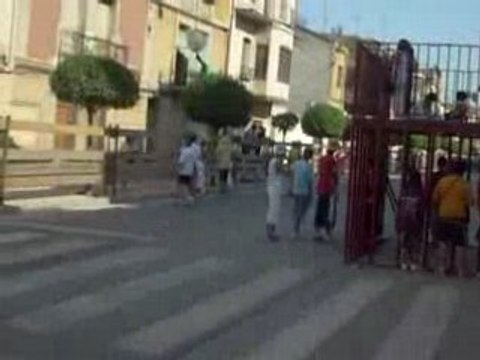 Lacher de taureaux en Espagne à Rincon de Soto