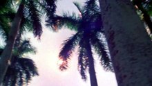 Das Intro der 80er-TV-Serie Miami Vice zeigt ein Bild, das sich viele andere Filme und Spiele zur Inspiration genommen haben