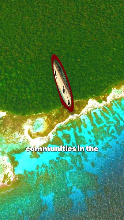 North Sentinel Island: Why Entry Is Forbidden and Deadly - video ...
