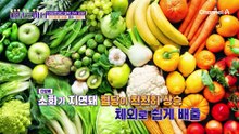 체지방 감소 돕는 BNR17! 2주 다이어트 프로젝트 결과는?