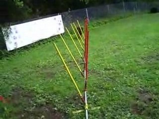 Démo du slalom en V par Udia 1erb passage