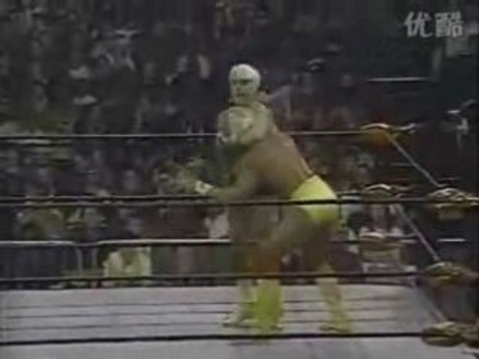 Wcw 1-1-96 (6)