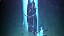 The fish that cheats freezing death 🐟