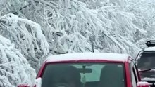 Сильный осенний снегопад парализовал дороги на Дальнем Востоке России