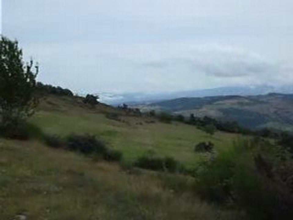 DSCF2281