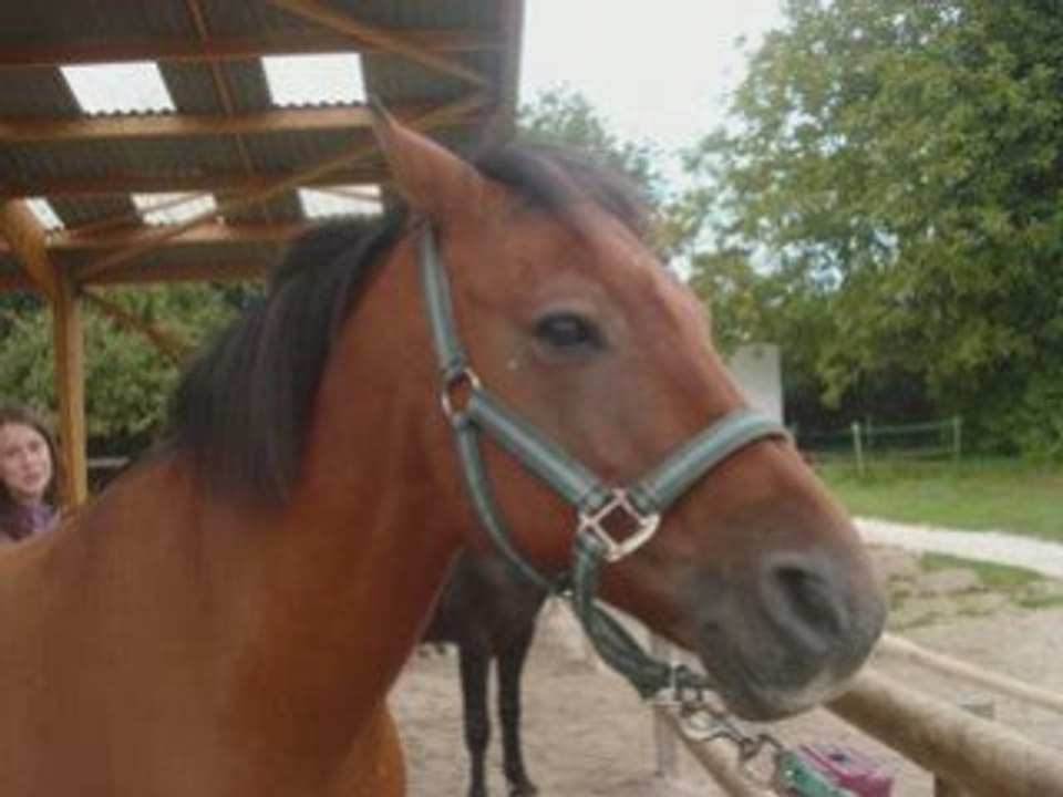 Aourt (L)