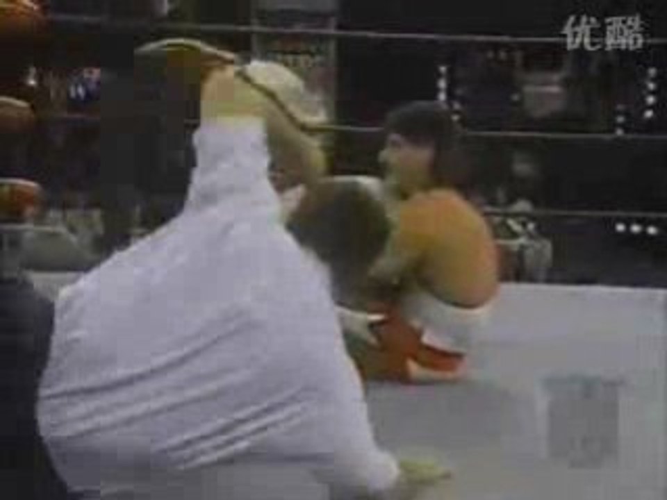 WCW 1-8-96 (3)