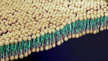 LUCA: El Extraño Primer Organismo Vivo de la Tierra