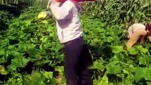 funny  😂 [1080]