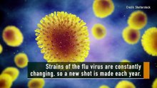 Facts:  Flu Shot And Side Effects