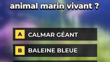 Vie sous-marine : 5 questions pour tester tes connaissances