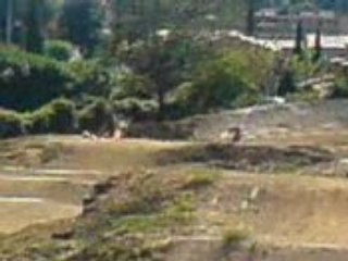 Bicross yoan.dome.valentin