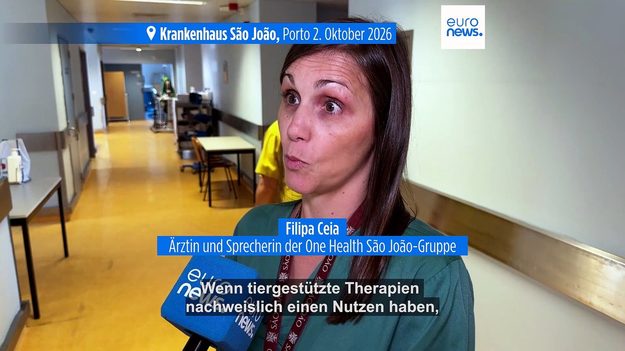 Portugiesches Krankenhaus lässt Haustiere in die Stationen: Test für neuen Ansatz?