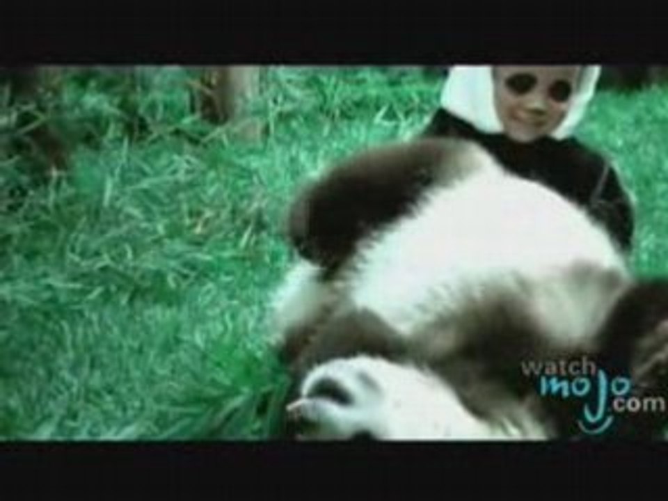What to do in China