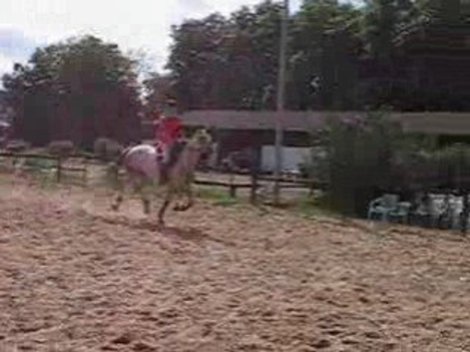 MVI_6983