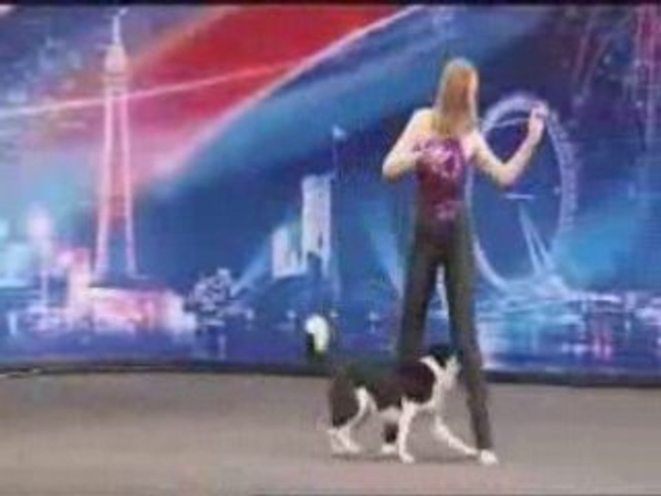 Chien-talentueux
