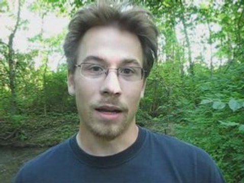 What is MLM Mentoring for Free?