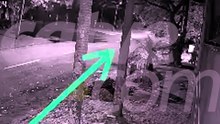 Câmera registra momento em que motorista perde controle e bate carro contra árvore em Cascavel