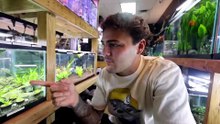 Buying the MOST EXPENSIVE FISH at Every PET STORE!!