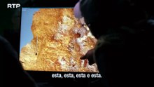 As Últimas Pegadas do Neandertal (RTP, 2026)