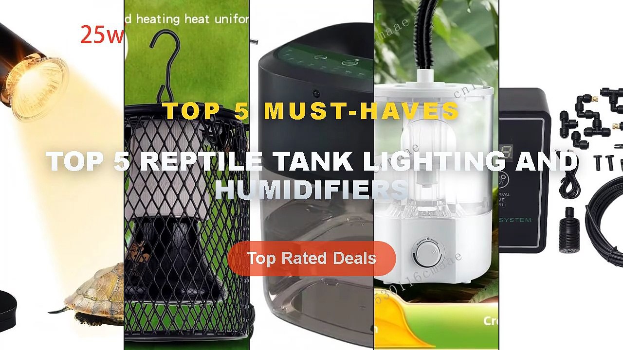 Why Everyone Is Buying Top 5 Reptile Tank Lighting And Humidifiers ...