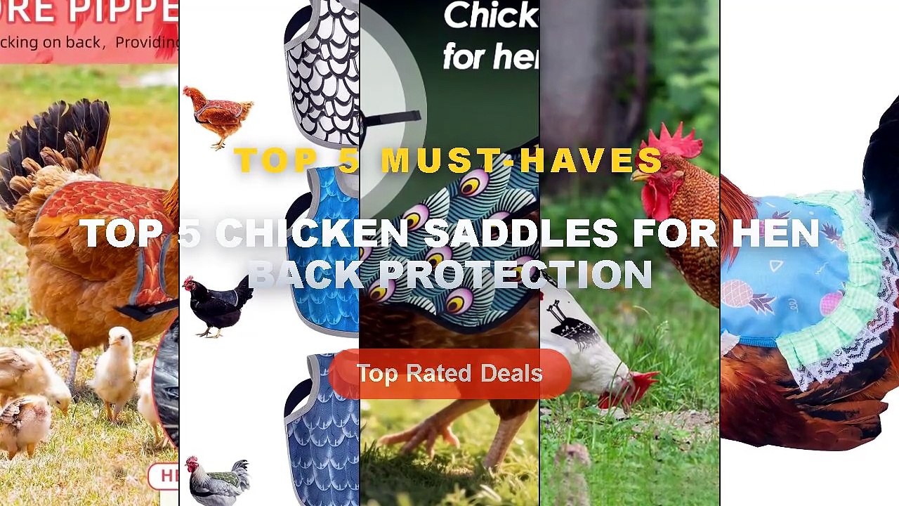 Ultimate Guide to the Best Top 5 Chicken Saddles For Hen Back ...