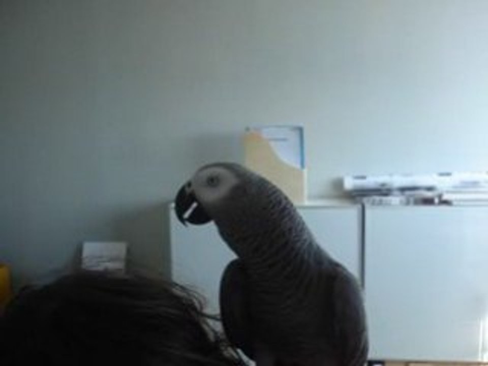 Mechant  tu m'as fait mal!non non non..........