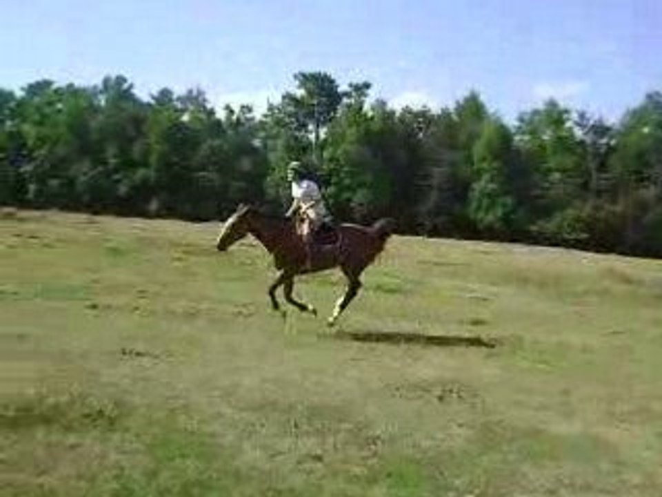 Galop en liberté