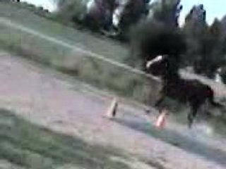 Mercredi 20 Août 08 - Travail en Liberté