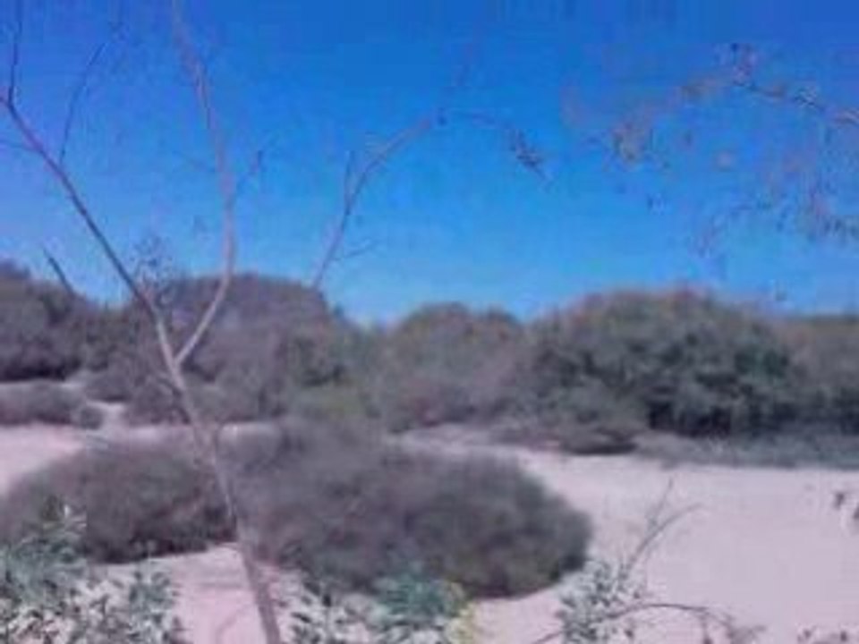 vacances maspalomas suite