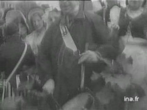 LES VENDANGES A MONTMARTRE