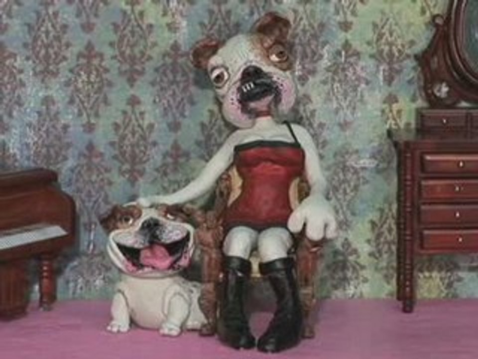 Owners who Look like their Pets