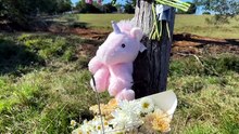 Woman and child found dead in a car in Queensland dam