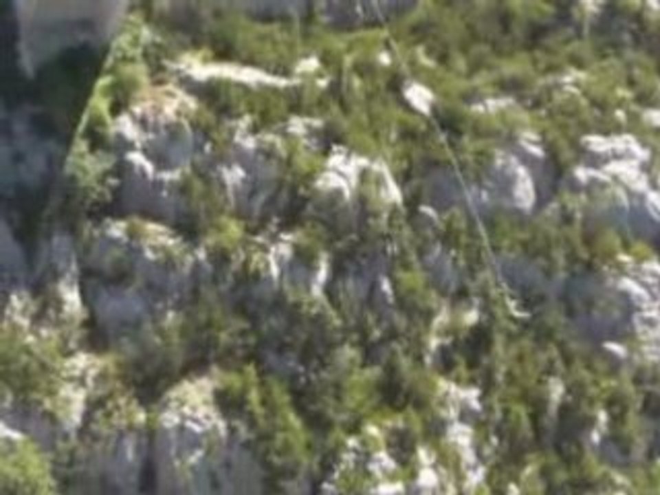 Roro saut à l'elastique