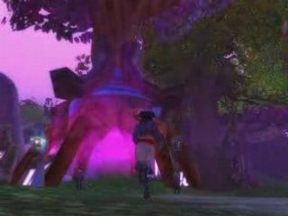 Wow Pirates of the Carribean